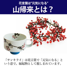 画像をギャラリービューアに読み込む, 【限定商品】軽くて使いやすい 波佐見焼の山帰来マグ - きつさこ