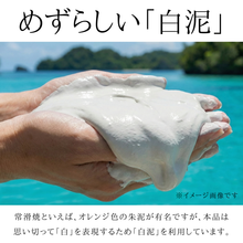 画像をギャラリービューアに読み込む, 白丸急須 常滑焼 日本製 【 茶葉が広がる/陶製 茶こし / 420ml 】セラメッシュ おしゃれ 2人用 ~ 3人用 アイボリー - きつさこ
